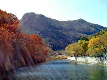 澳门二四六天天彩图库，挖掘鸡